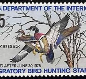 90220d - USA - STAMPS: SCOTT # RW41 1974  Migratory Bird Hunting Stamp MINT MNH