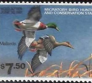 90221d - USA - STAMPS: SCOTT # RW47  1980  Migratory Bird Hunting Stamp MINT MNH