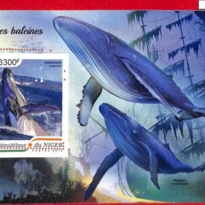 A1429 - Niger - ERROR МISSPERF stamp sheet 2018  Киты WHALES Animals