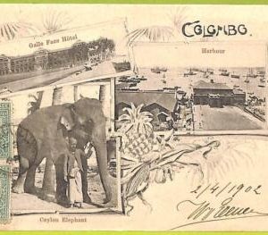 56421 - Ceylon - VINTAGE   POSTCARD -  Colombo - 1902