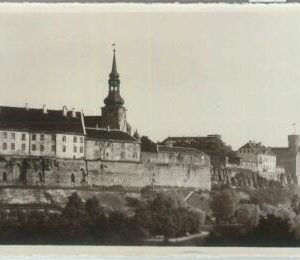 79668 - ESTONIA - VINTAGE   POSTCARD :  Photografic postcard REVAL Tallinn