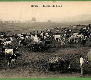 ah2808 -  BRAZIL - VINTAGE POSTCARD Postal Antigua - Ethnic