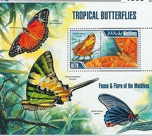 MALDIVES - ERROR, 2013 MISSPERF SHEET: TROPICAL BUTTERFLIES, INSECTS