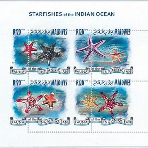 MALDIVES - ERROR, 2013 MISSPERF SHEET: STARFISH OF THE INDIAN OCEAN, MARINE LIFE