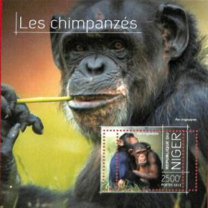 A1367 -  Niger - ERROR МISSPERF stamp sheet  2013 chimpanzees шимпанзе  Animals