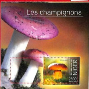 A1363 - Niger - ERROR МISSPERF stamp sheet  2013  Mushrooms Грибы