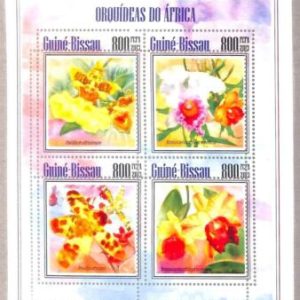 A5124 - GUINEA-BISSAU - ERROR - MISPERF, Miniature sheet: 2013, Orchids, Flowers