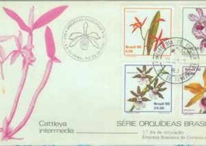 85431 - BRAZIL -  Postal History -  FDC COVER 1980 - FLOWERS Orchids