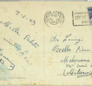 86579 - ITALY - Postal History - SPECIAL postmark on CARD 1949  flowers ORCHIDS