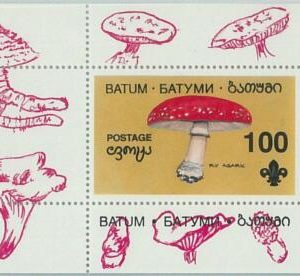 M2202- RUSSIAN STATE, SOUVENIR SHEET: Mushrooms - Boy Scouts