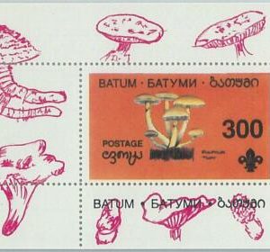 M2200- RUSSIAN STATE, SOUVENIR SHEET: Mushrooms - Boy Scouts