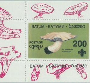 M2199- RUSSIAN STATE, SOUVENIR SHEET: Mushrooms - Boy Scouts