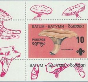 M2198- RUSSIAN STATE, SOUVENIR SHEET: Mushrooms  - Boy Scouts