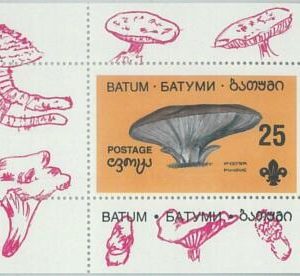 M2197- RUSSIAN STATE, SOUVENIR SHEET: Mushrooms - Boy Scouts