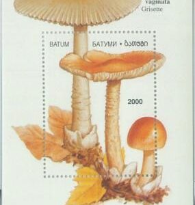 M2219- RUSSIAN STATE, SOUVENIR SHEET: Mushrooms