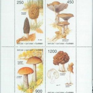 M2220- RUSSIAN STATE, MINIATURE SHEET: Mushrooms