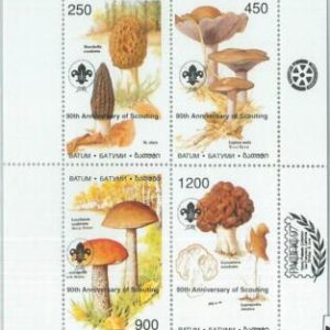 M2218- RUSSIAN STATE, MINIATURE SHEET: Mushrooms, Boy Scouts