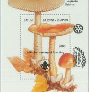 M2217- RUSSIAN STATE, SOUVENIR SHEET: Mushrooms, Boy Scouts