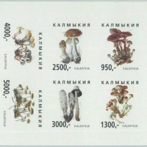 M2203- RUSSIAN STATE, MINIATURE SHEET: Mushrooms