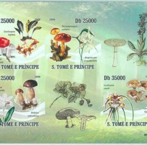 M1589 - S TOME & PRINCIPE, ERROR, 2009, IMPERF SHEET: Mushrooms, Nature