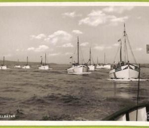 ad2584 - SWEDEN - VINTAGE POSTCARD - Makrillbatar