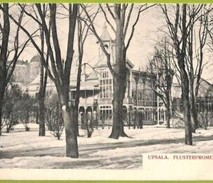 ad2707 - SWEDEN - VINTAGE POSTCARD - Upsala