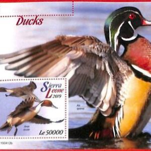 A4562 - SIERRA LEONE - ERROR MISPERF, Hoja de recuerdo: 2019, Patos, Aves