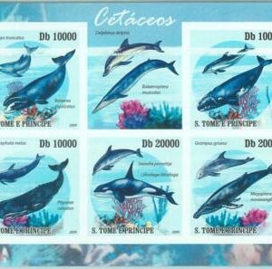 M1604 - S TOME & PRINCIPE,ERROR, 2009 IMPERF SHEET: Cetaceans Marine Life, Whale