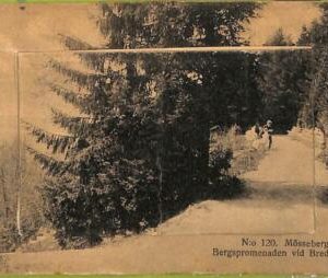 ad2592 - SWEDEN - VINTAGE POSTCARD - Mossebergs Bad