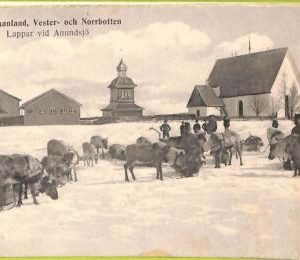 ad2602 - SWEDEN - VINTAGE POSTCARD - Norrbotten