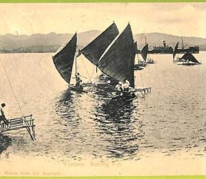 ah0278 - FIGI - VINTAGE   POSTCARD - Canoes, Racing Figi
