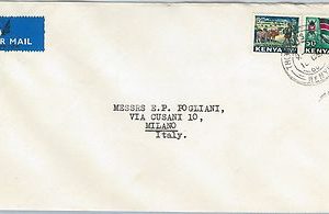 61368  - KENYA  - POSTAL HISTORY -  COVER to ITALY  - FAUNA Animals