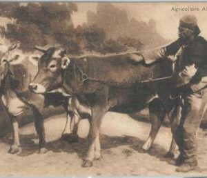 79368 - ALBANIA - VINTAGE Ethnic POSTCARD  -  Posta Military postmark 1916