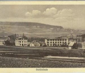 98477 -  VINTAGE  POSTCARD - Czechoslovakia -  Schonlinde Krásná Lípa  1907