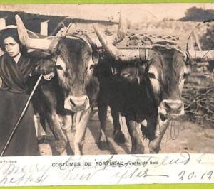 af2228 - PORTUGAL - VINTAGE POSTCARD - Costumes