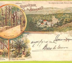 af2202 - PORTUGAL - VINTAGE POSTCARD - Bussaco - 1904