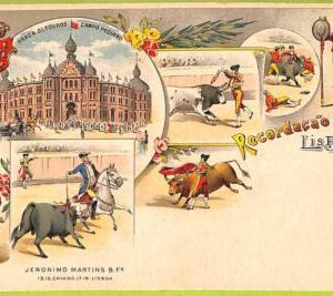 af2213 - PORTUGAL - VINTAGE POSTCARD - Lisboa
