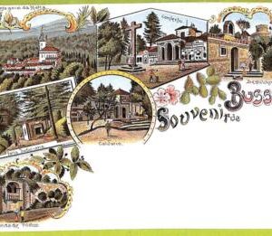 af2201 - PORTUGAL - VINTAGE POSTCARD - Bussaco