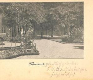 ac9541 - DENMARK - VINTAGE POSTCARD - Mommark