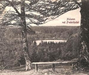 ac9605 - DENMARK - VINTAGE POSTCARD -  Hulsoen ved Frederiksdal - 1903