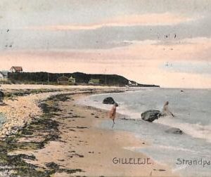 ac9609 - DENMARK - VINTAGE POSTCARD - Gilleleje - 1906