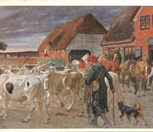 ac9586 - DENMARK - VINTAGE POSTCARD