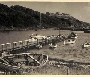 ac9567 - DENMARK - VINTAGE POSTCARD -   Bornholm