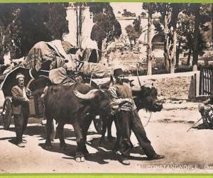 af2244 - TURKEY - VINTAGE POSTCARD -  Constantinople