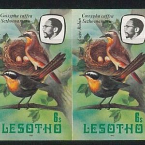 56555 -  BIRDS  - LESOTHO -   IMPERF Pair of stamps MICHEL 334 I -- very nice!
