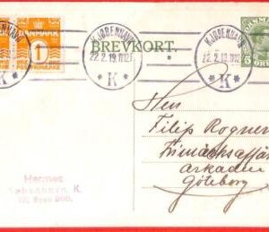 aa0647 - DENMARK - Postal History -  Stationery Card - Nice oval postmark 1919