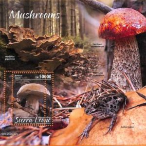 A6970 - SIERRA LEONE, Error, 2020, MISPERF SOUVENIR SHEET: Mushrooms, Frogs