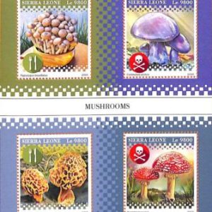 A6974 - SIERRA LEONE, Error, 2018, MISPERF MINIATURE SHEET: Mushrooms