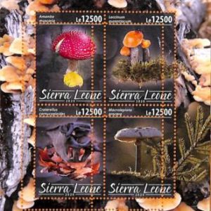 A6971 - SIERRA LEONE, Error, 2020, MISPERF MINIATURE SHEET: Mushrooms