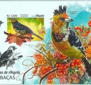 A1468 - ANGOLA, ERROR, IMPERF, Souvenir sheet: 2018, Birds, Crested barbets